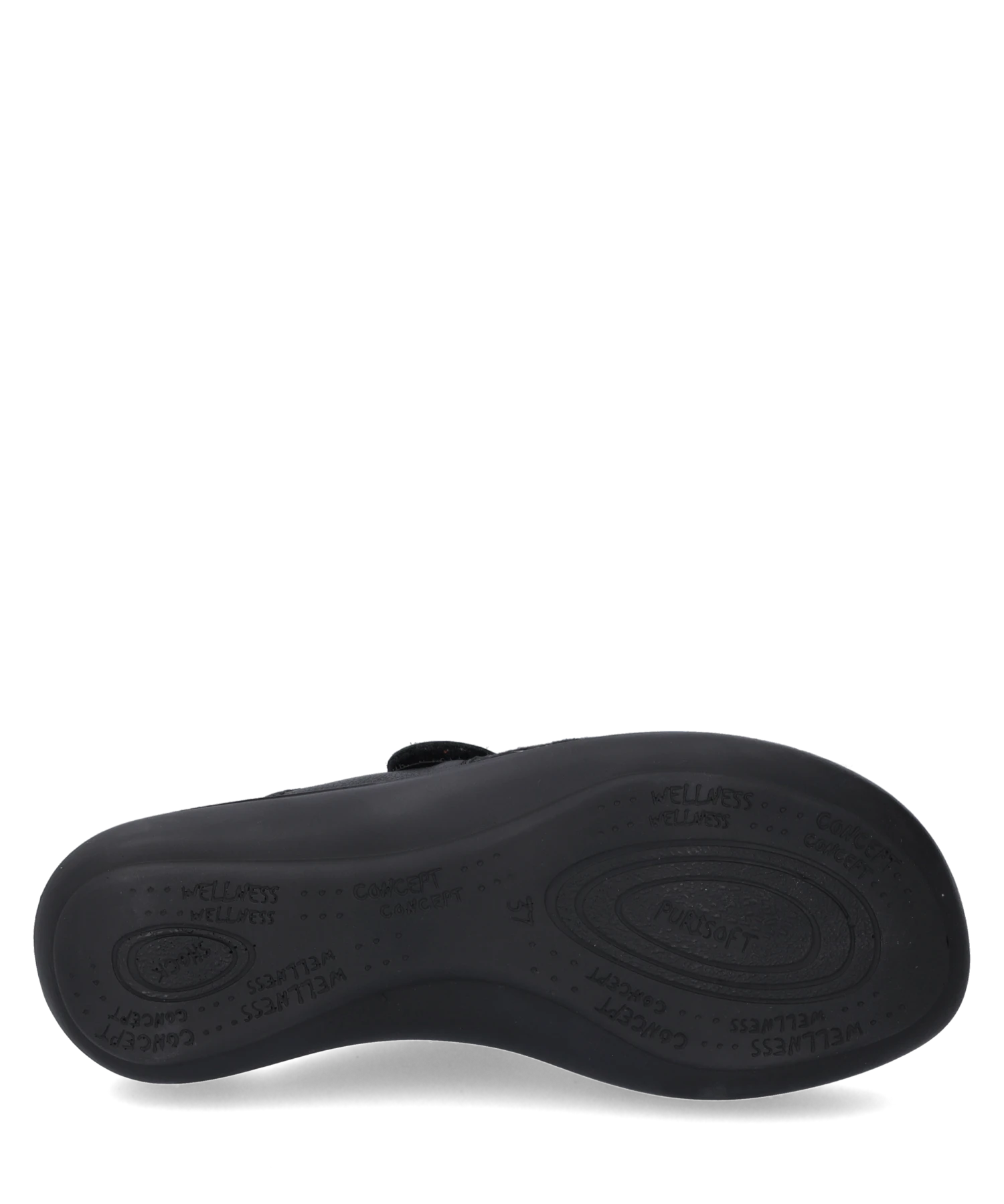 Westland Korsika 349 6 Westland Korsika 349 – Bild 6